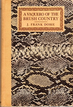 A VAQUERO OF THE BRUSH COUNTRY.